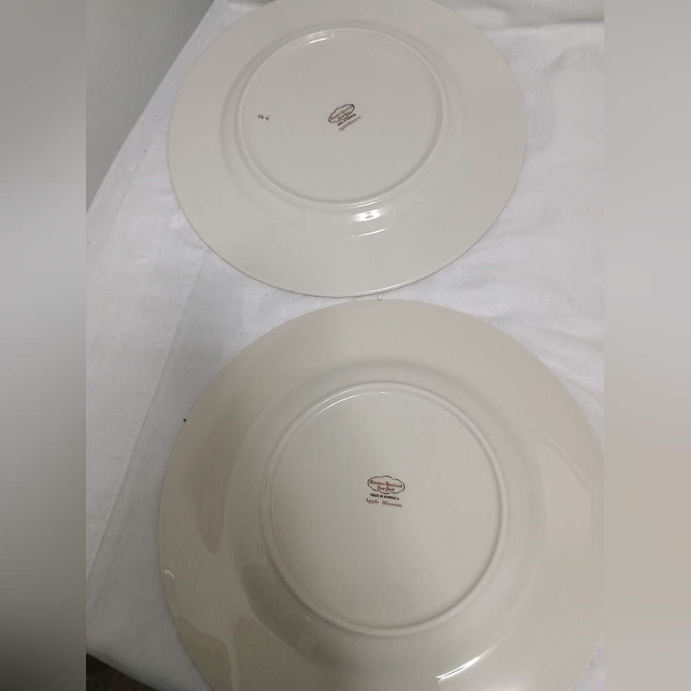 Pair Of Theodore Haviland New York dinner plates. Apple Blossom pattern - Picture 7 of 9